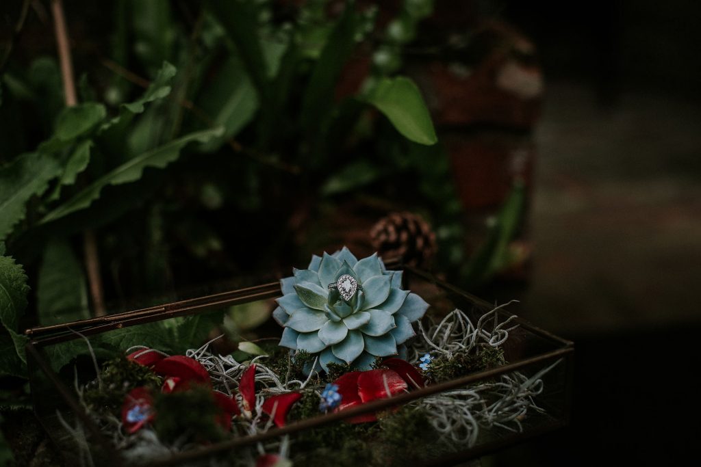 Irish Wedding Photographer